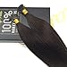 Sunny 16 Inch Remy Straight Pre bonded I-tip Fusion Hair Extensions Human Hair Professional Salon Style Color #2 Dark Brown 1g Per Strand 50g Per Package