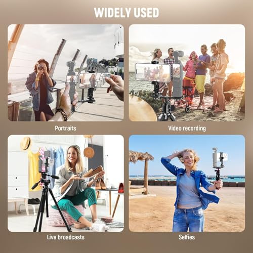 NEEWER Phone Holder Mount Compatible with DJI Osmo Pocket 4 & Pocket 3, Accessories Expansion Cell Phone Mount with 1/4" Threads for Tripod/Extension Rod, Cold Shoe for Mini Video Light, Mic, AC021