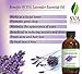 SVA Organics Lavender Essential Oil - Big 4 Ounce