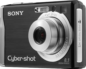 Amazon.com : Sony Cybershot DSCW90 8.1MP Digital Camera