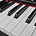 Anself Classic Electronic Digital Piano with 88 Weighted Keys & Music Stand