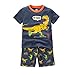 B.GKAKA Boys Short Pajamas Size 2-8T Toddler Kids 100% Cotton Summer Clothes Sets 2 Piece