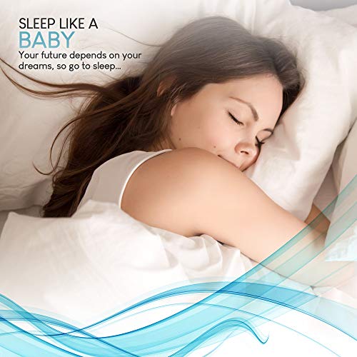 European 800 Fill Power White Goose Down Pillow. (Queen) Pricepulse