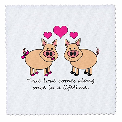 3dRose qs_6292_1 True Love Comes Along Once in a Lifetime Cute Pig Love Design Quilt Square, 10 by 10-Inch