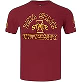 Mens College Iowa State University Classic Chenille Short Sleeve Tee Cardinal Red M