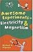 Awesome Experiments in Electricity & Magnetism - Book by Michael DiSpezio