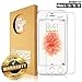 iPhone SE / 5s / 5c / 5 Tempered Glass Screen Protector by G-Armor - Ultra Clear HD / Scratch Proof Protective Cover