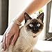 Pettsie Breakaway Cat Collar & Matching Friendship Bracelet – Adjustable, Soft Cotton Collar for Cats, Quick-Release Safety Buckle, Lightweight, Stylish, Anti-Lost ID Tag, Red