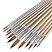 Artist Watercolor Brushes, Round Pointed Tip Paint Brushes Set, 12pcs Different Sizes Detail Paint Brush for Watercolor, Acrylics, Ink, Gouache, Oil, Tempera (Golden)