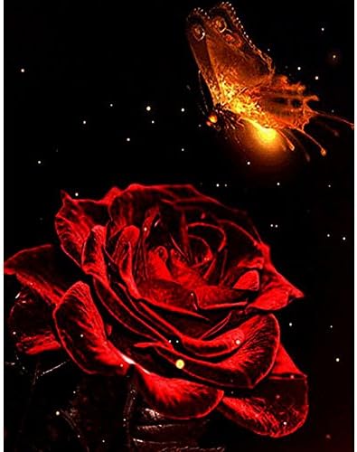 Xinhuaya 5D Diamond Painting Butterfly and Skull DIY Drawing Paint by Number Kit Rhinestone Painting Handcraft Kit for Kids Room Wall Hanging (E8)