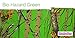 Regal Comfort Biohazard Green Camouflage Full 8pc Premium Luxury Comforter, Sheet, Pillowcases, and Bed Skirt Set Camo Bedding Set for Hunters Teens Boys and Girls