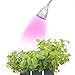 LED Concepts® Grow Light – Miracle Plant Light Clip Desk Lamp for Hydroponics Greenhouse Organic - 5W 22” 360° Flexible Neck Light
