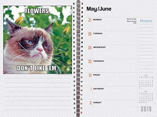 2019 Grumpy Cat® 18-Month Weekly Planner: by Sellers Publishing, 6 x 9; (CW-0490)