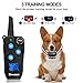 Fittidoll Dog Training Collar, Rechargeable Dog Shock Collar with Beep, Vibration and 1~100 Shock Levels Dog Training Set, 60% Longer Remote Range, 100% Waterproof Training Collar for Dogs Small Mediuthumb 1