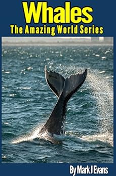Whale Book For Kids Stunning Photo Marine Book For Kids