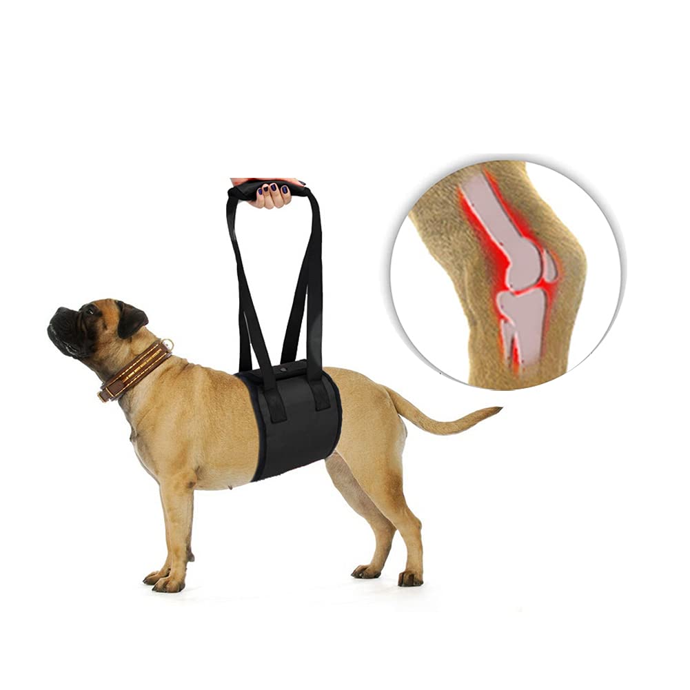 Portable Dog Sling Assist Belt Dog Lift Support Harness Vet Approved Breathable Pet Walking Aid Rehabilitation Harness for Elderly Injured Disabled Dogs Weak Legs for Standing Climbing on Stairs