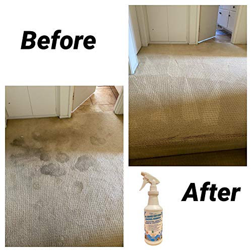 Dr. Carpet Pet Stain Removal Formula Pricepulse
