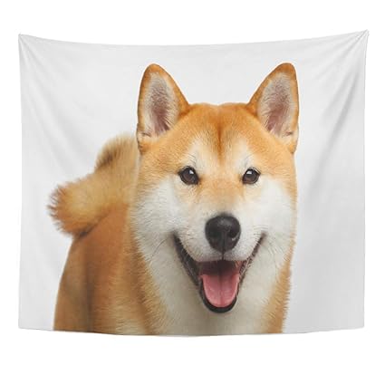 Amazoncom Semtomn Tapestry Wall Hanging Cute Portrait Of