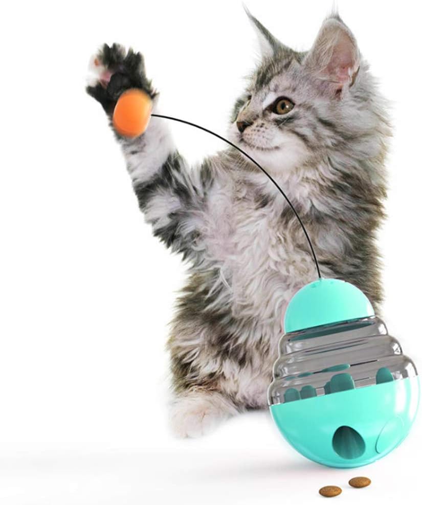 cookie swirl c lps customs