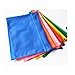 Chris-Wang 10Pcs Waterproof Double Layer Zippered Mesh Office File Organizer/Document Holder/Paper Pouch/Pen Pencil Case/Stationery Storage Bags (A4 Size, Random Color)