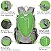 PioneerHiker 25L Lightweight Water-resistant Small Hiking Daypack Backpack for Outdoor Hiking Cycling School Camping Sports Travel Green