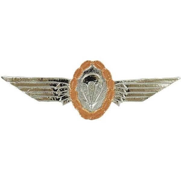 Amazon.com: German Bronze Parachutist Foreign Jump Wings Germany