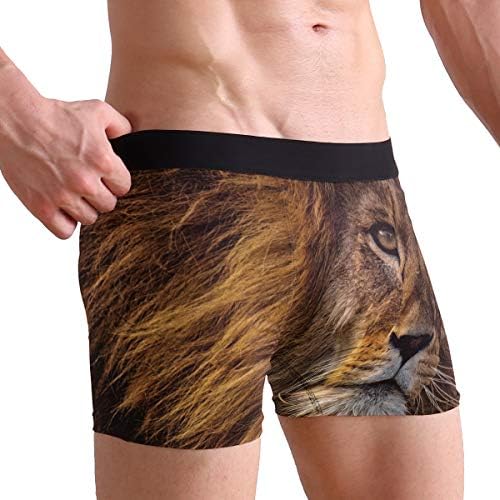DEZIRO Serious Lion Men's Sport Boxer Brief Underwear