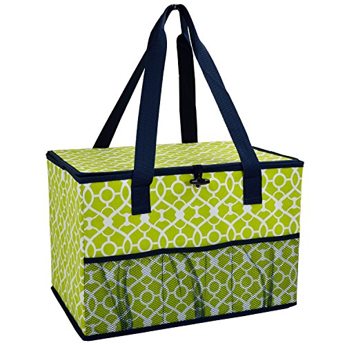 Picnic at AscotCollapsible Storage Container/Organizer for Home and Trunk - Designed & Quality Approved in the USA