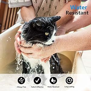 Collare Antipulci per Gatti Impermeabile, Gatto Antipulci Collare Pulci e Zecche Collare, 8 Mesi di Efficacia Protezione…