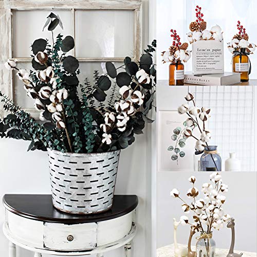 HAKACC Baumwolle Deko, 10 Stück Natürlich Getrocknete Baumwolle Trockenblumen Deko DIY Dekoration Home Party