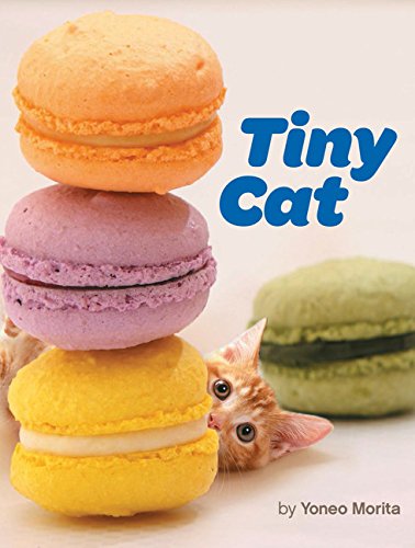 Tiny Cat by 