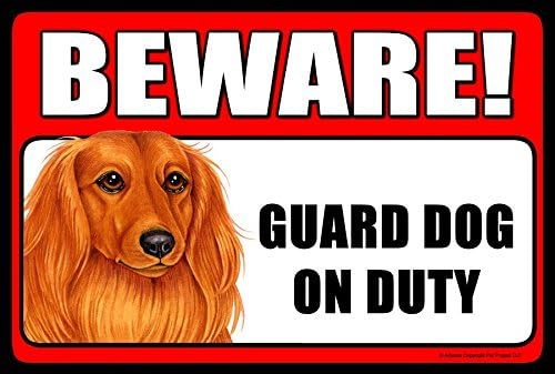 Dachshund - Long Hair - Beware! Guard Dog on Duty - New 9x6 High Quality Wooden Pet Dog Sign Plaque - This Novelty Pet Sign Should Be Used Indoors. Our Novelty Pet Signs Make Excellent Gifts!