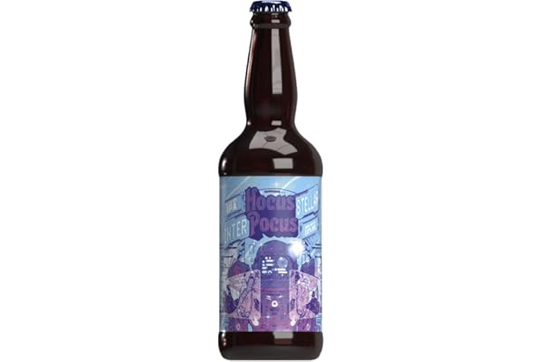 Cerveja Hocus Pocus Interstellar India Pale Ale 500ml