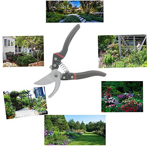 WOYESHENMU 8" Upgraded Pruning Shears £¨Germany 75CR1 Steel£, Professional Pruning Scissors for Garden, Sharp and Durable Bypass Pruner/Hand Pruners, Aluminum Alloy Handle Secateurs £¨Black£