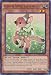 Yu-Gi-Oh! - Valerifawn, Mystical Beast of the Forest (NECH-EN038) - The New Challengers - 1st Edition - Common