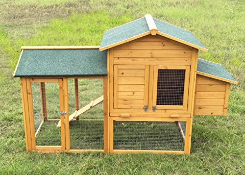 Neocraft Small Outdoor Chicken Coop