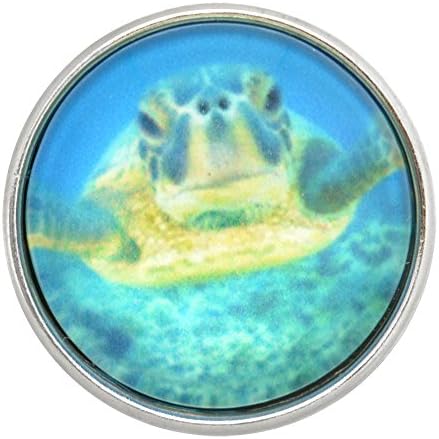Sea Turtle Glass Nugz Snap - interchangeable snap jewelry from Nugz Jewelry