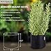 MAXSISUN 6-Pack 5 Gallon Grow Bags, Heavy Duty Thickened Non-Woven Plant Fabric Pots with Reinforced Handles for Gardeningthumb 2