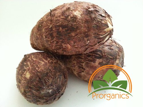 1 Lb Organic Yautia Blanca, Rhizome Xanthosoma by Prorganics - Thumbnail 2