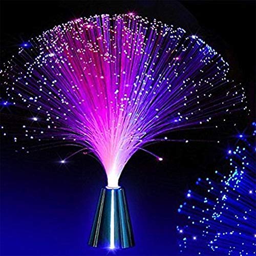 Beautiful Romantic Fibre Optic Light Color Changing LED Fiber Optic Night Light Lamp Home Living Interior Design