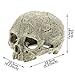 Saim Aquarium Decor Resin Emulational Human Skull Ornamentthumb 1