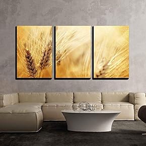 Gold Wheat Field on a Gold Illuminating Background x3 Panels