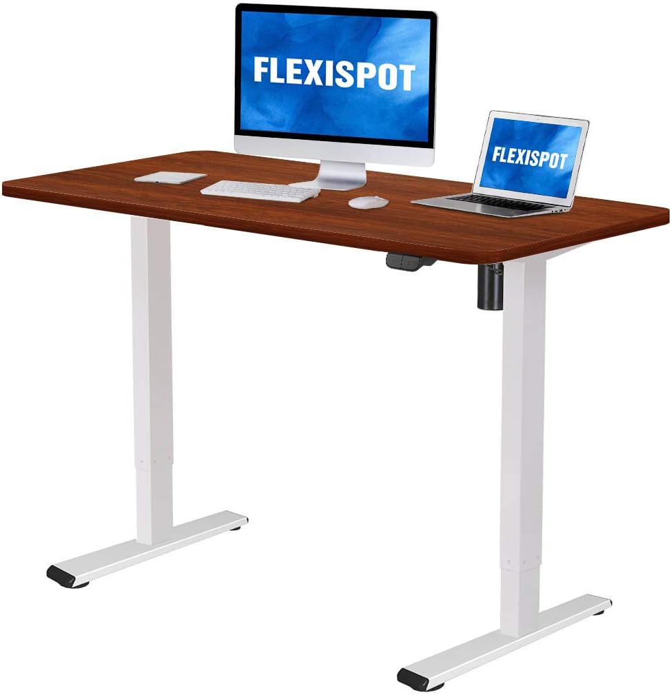 Flexispot Electric Standing Desk Height Adjustable Desk