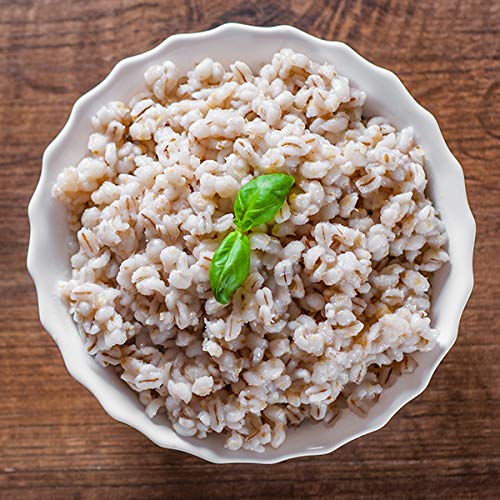 1000 SPRINGS MILL – ORGANIC PURPLE BARLEY | USED FOR CEREALS, SALADS, WHOLE WHEAT BREAD, FRESH BARLEY FLOUR, SPROUTING SEEDS, AND MORE | BULK DRIED GRAIN | RESEALABLE BAG | 16OZ (PACK OF 1)