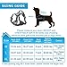 WINSEE Dog Harness No Pull, Pet Harnesses with Dog Collar, Adjustable Reflective Oxford Outdoor Vest, Front/Back Leash Clips for Small, Medium, Large, Extra Large Dogs, Easy Control Handle for Walking