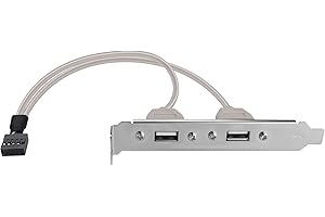 ELFJMZP 2-Port USB 2.0 Rear Panel Bracket, PCI Slot Mount Stainless Steel Adapter with 30cm Cable, 9-Pin Header Connector for