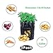 HomeFoundry Potato Grow Bags Planter Bags with Flap Garden Vegetables Planter Bags Aeration Fabric Perfect for Growing Carrot, Potato, Onion, Tomato, 10 Gallon 2 Packthumb 1