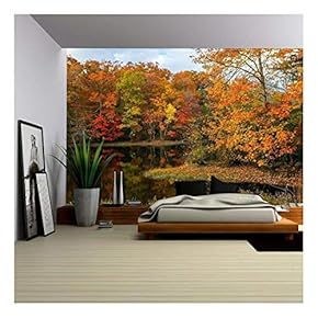 Colorful Autumn Reflections on This Pond in Allaire State Park in New Jersey. - Removable Wall Mural | Self-Adhesive Large Wallpaper - 66x96 inches
