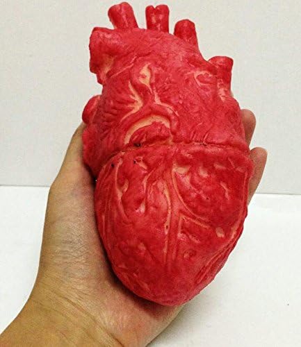 Famlon Fake Human's Heart - Bloody Zombie Food - Halloween Prop Body Part Organ
