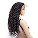 FASHION PLUS 15A Curly Full Lace Wigs Human Hair Real Full Lace Human Hair Wigs 180% Density HD Transparent Full Handmade Invisible Whole Lace Wigs Pre Plucked Kinky Curly Human Hair Wigs 14 Inch